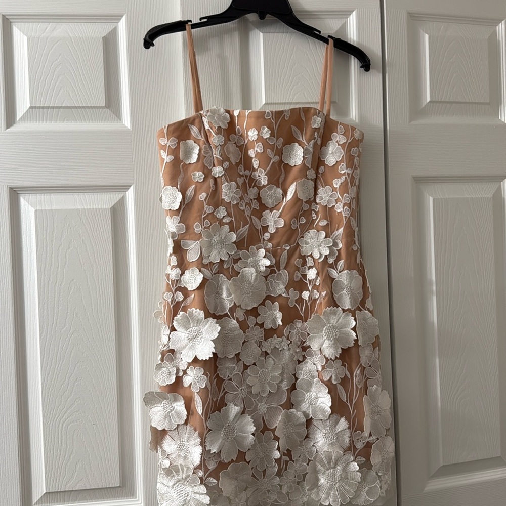 Beautiful mini dress, sold from Anthropologie!